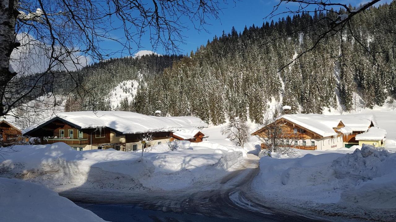 Bauernhof Krahlehenhof Villa Filzmoos Eksteriør billede